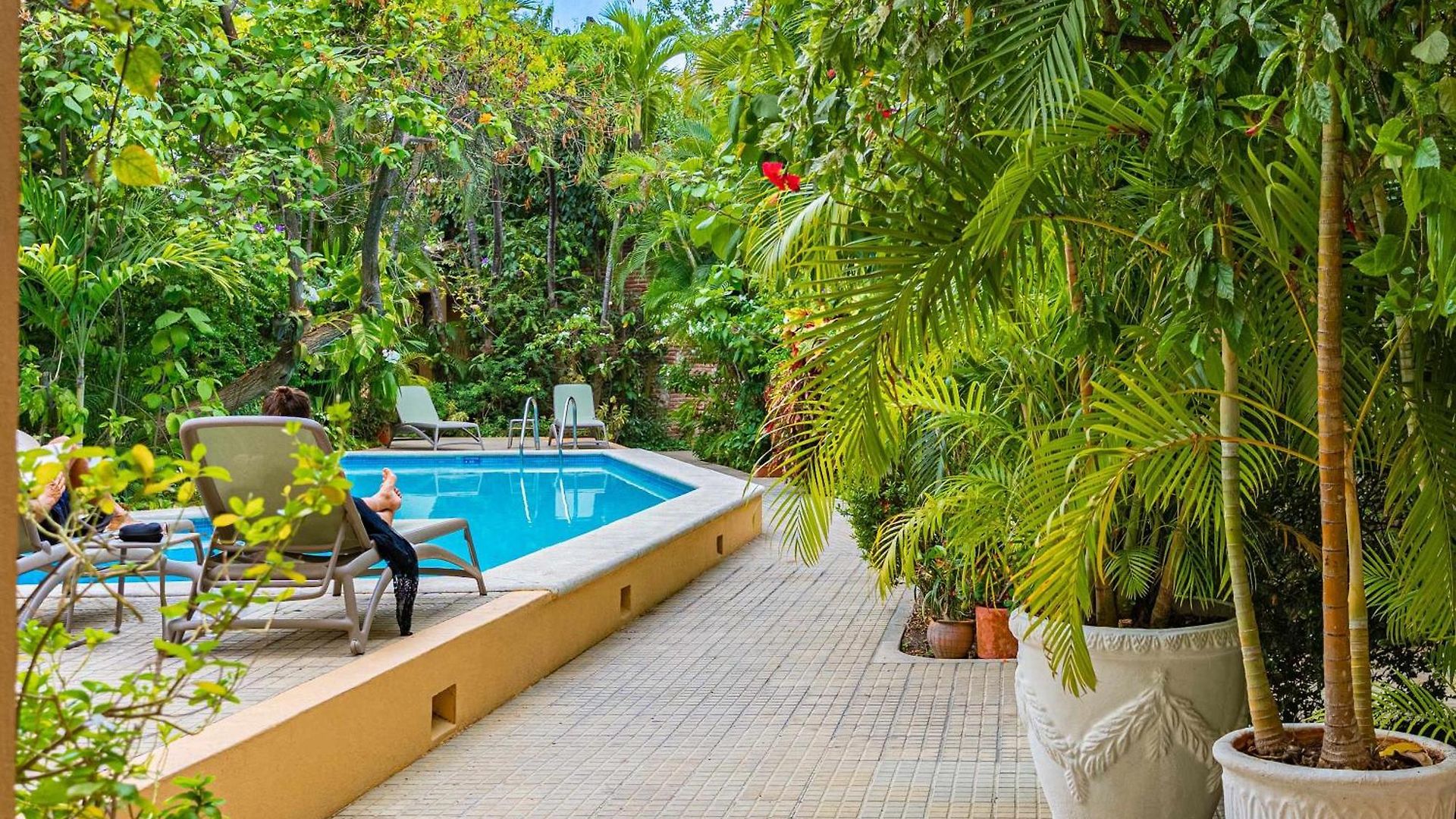 Awesome 2br With Pool In Getsemani *